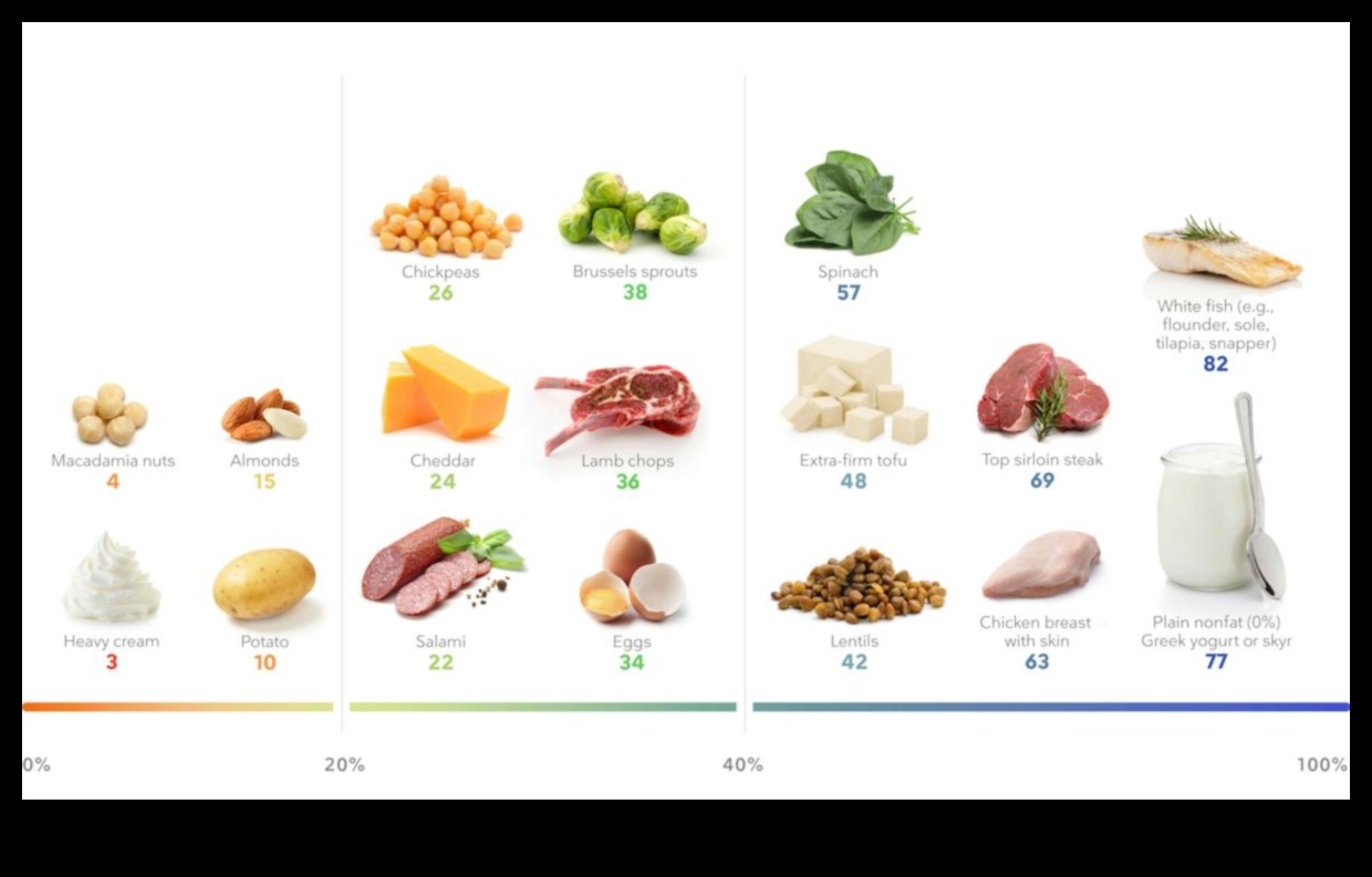 Yüksek Proteinli Diyetler ve Kilo Kaybı: Kazanan Bir Kombinasyon Mu?