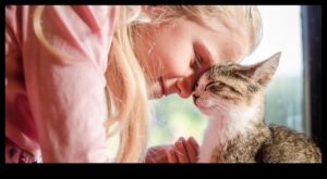 Kedi arkadaşlığı kedi arkadaşınızla güçlü bir bağ kurma
